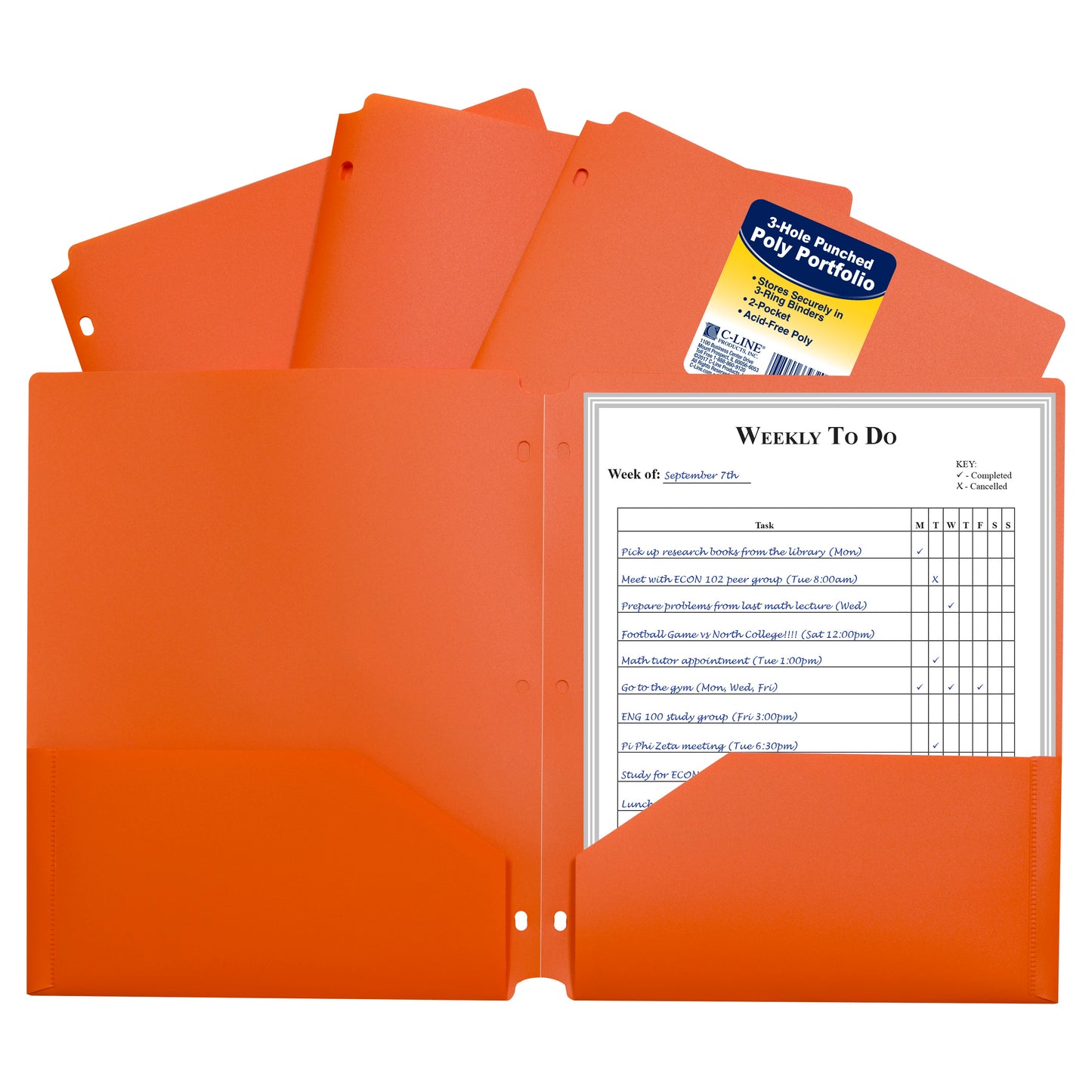 Two-Pocket Heavyweight Poly Portfolio Folder with Three-Hole Punch, Orange, 33932, 1/EA (Set of 25 EA)